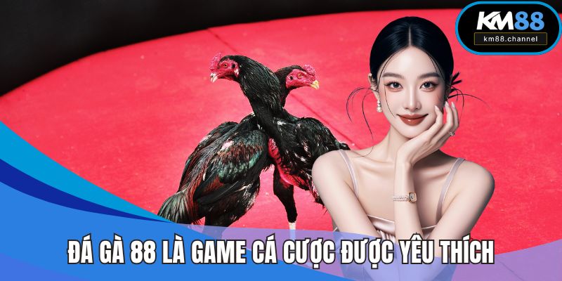 Đá gà 88 là hình thức cá cược được yêu thích