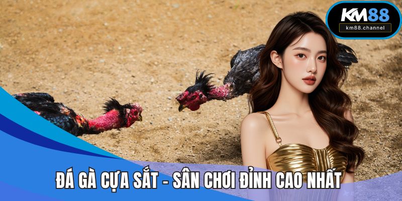 Đá Gà Cựa Sắt KM88 - Sân Chơi Cá Cược Đỉnh Cao Nhất