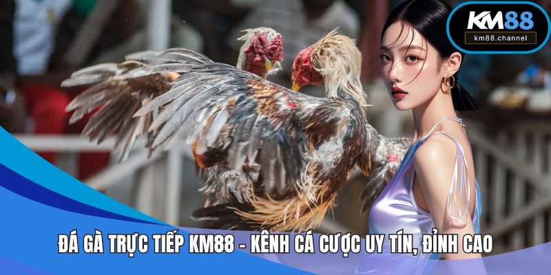 Đá Gà Trực Tiếp KM88 – Kênh Cá Cược Uy Tín, Đỉnh Cao