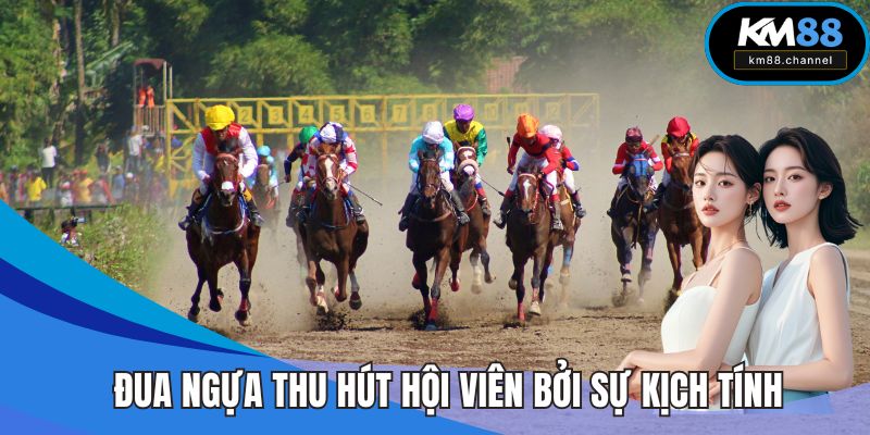 Đua ngựa thu hút hội viên bởi sự kịch tính và nhanh nhẹn