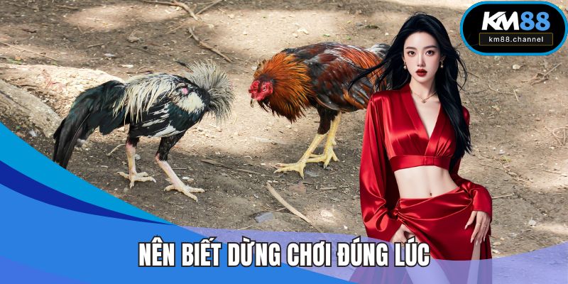 Nên biết dừng chơi đúng lúc