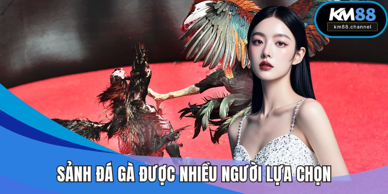 Sảnh đá gà được nhiều người lựa chọn