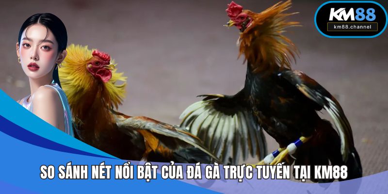 So sánh nét nổi bật của đá gà trực tuyến tại KM88