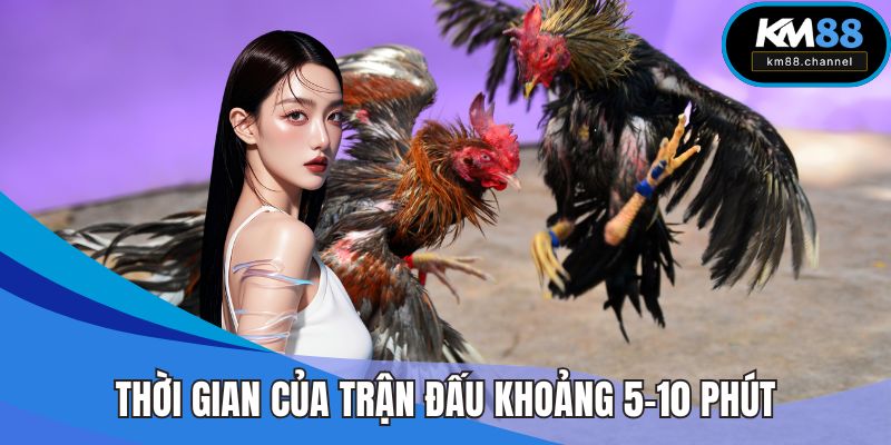Thời gian của trận đấu khoảng 5-10 phút