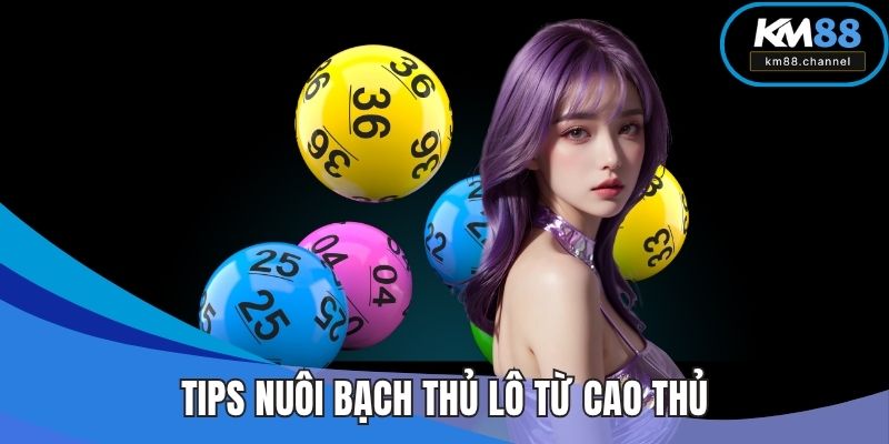 Tips nuôi bạch thủ lô từ cao thủ