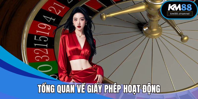 Tổng quan về giấy phép hoạt động
