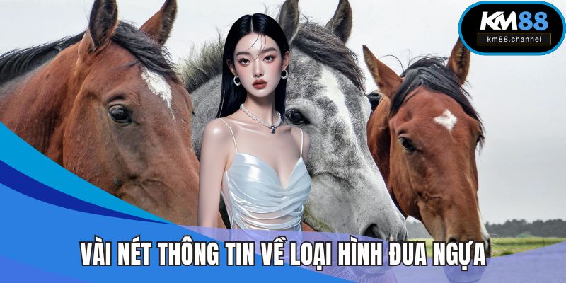 Vài nét thông tin sơ lược về loại hình đua ngựa